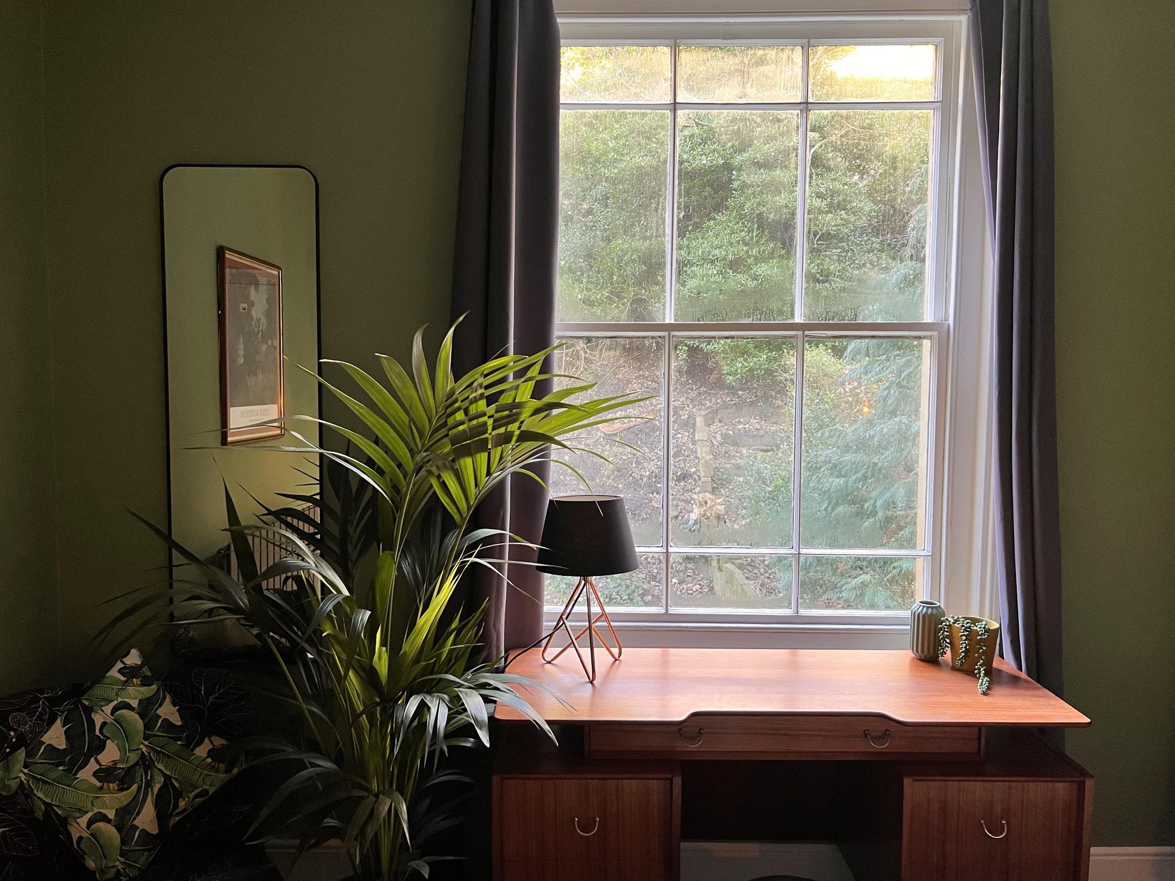 Mid-century desk under a sash window, palm beside it